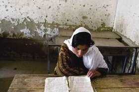 国产欧美非洲免费视频